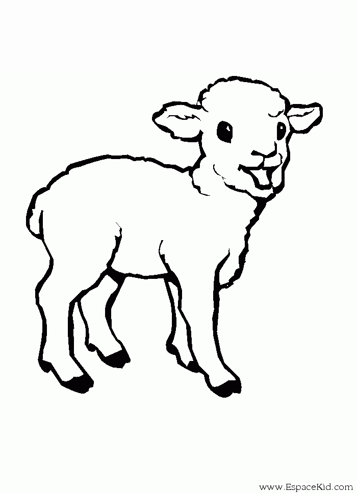 Dessin #12144 - coloriage de agneau imprimer et colorier