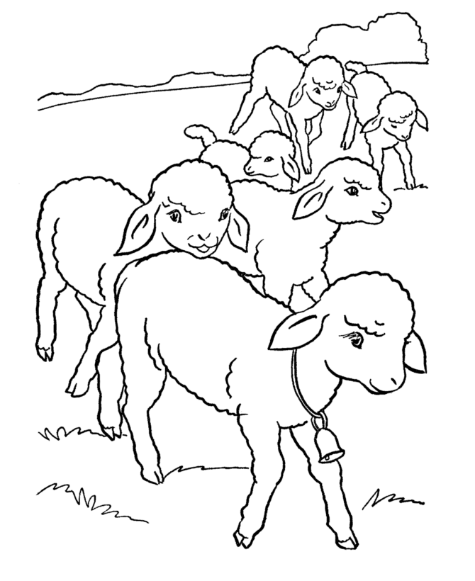 Dessin #12146 - dessin gratuit agneau a colorier