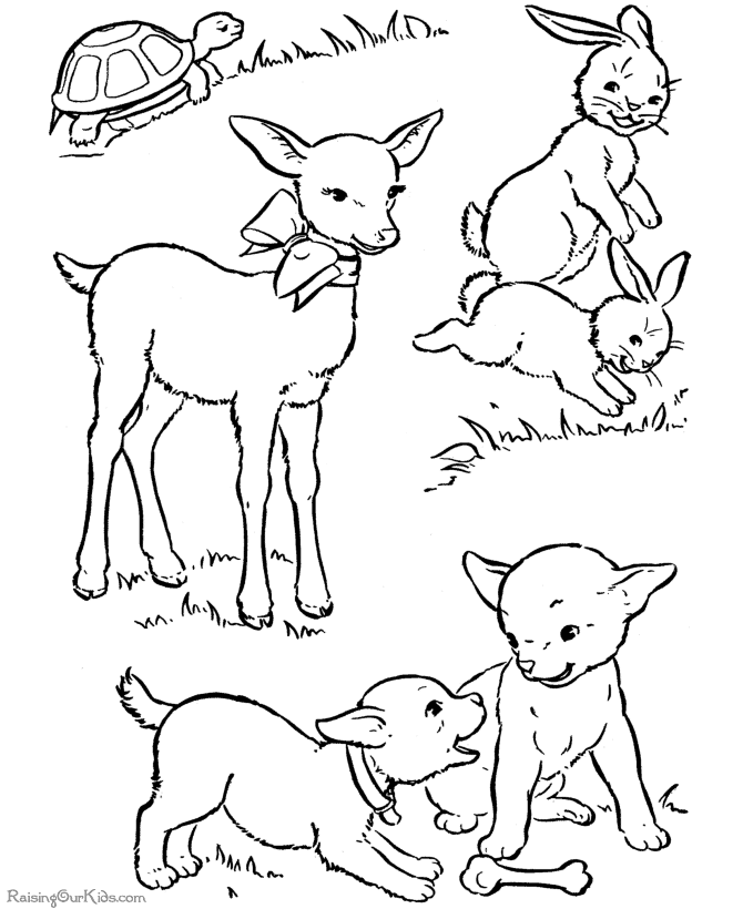 Dessin #12153 - dessin de agneau