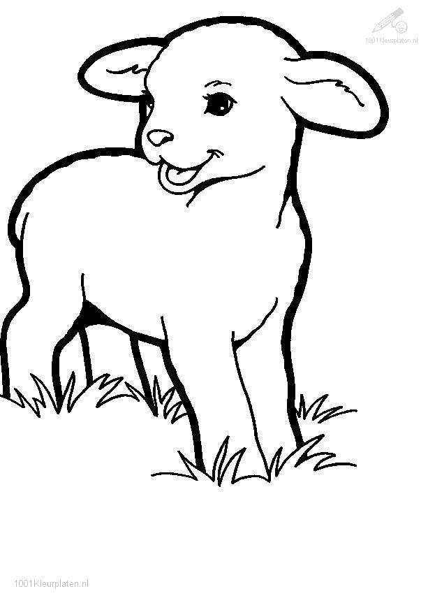 Dessin #12172 - Un beau dessin de agneau a imprimer et colorier