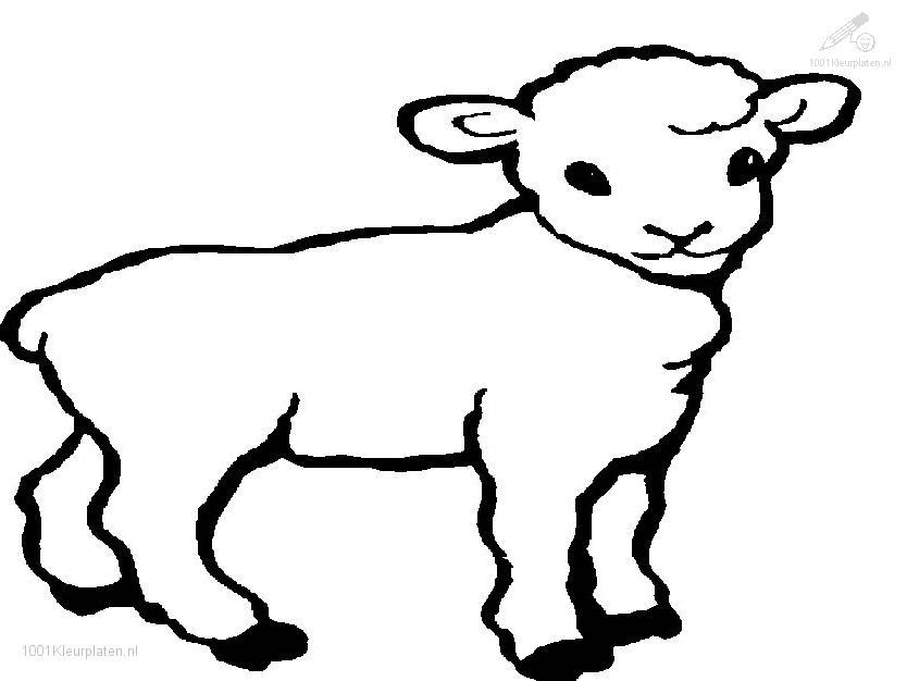 Dessin #12179 - coloriage agneau