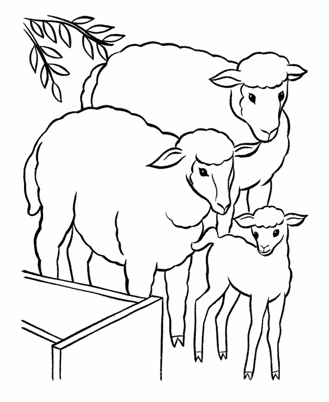 Dessin #12180 - Coloriage de agneau gratuit a imprimer et colorier