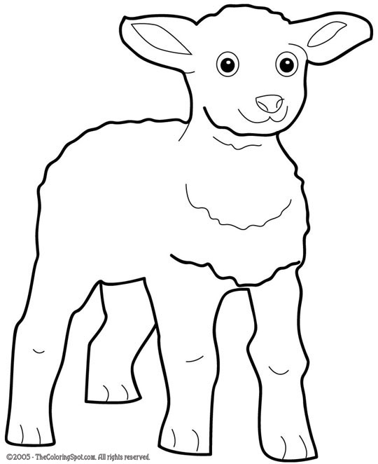 Dessin #12185 - dessin de agneau a imprimer