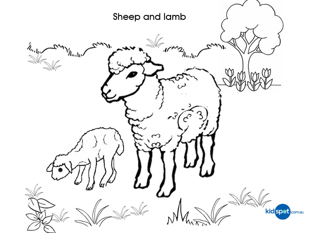 Dessin #12194 - beau dessin de agneau à colorier pour t'amuser