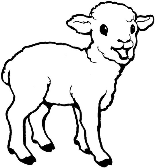 Dessin #12197 - coloriage de agneau gratuit a imprimer