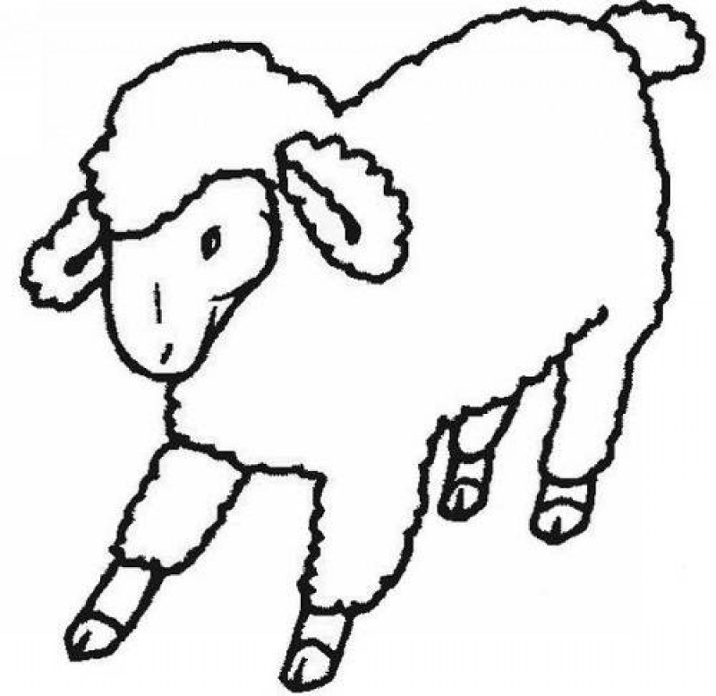 Dessin #12204 - Dessin de agneau gratuit a imprimer et colorier