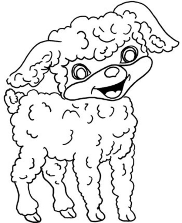 Dessin #12207 - Dessin de agneau à imprimer