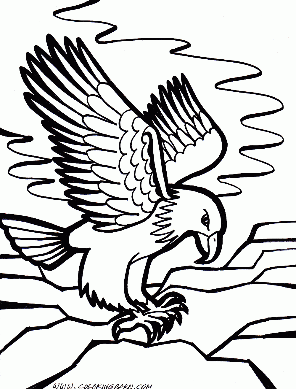 aigle coloriage image dessin gratuit à colorier site