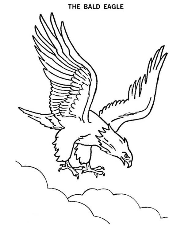 eagle feather coloring pages - photo #25