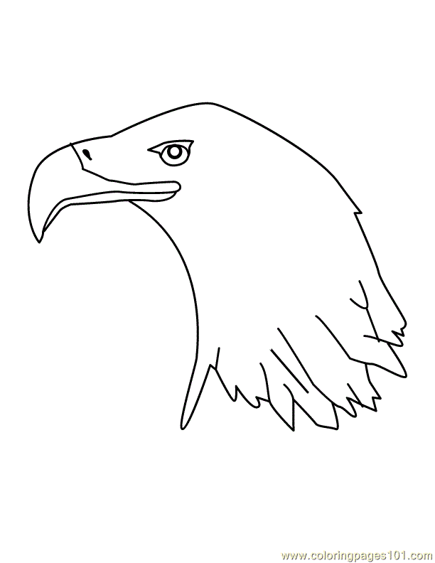 dessins à colorier aigle head (birds aigle) gratuit à imprimer coloriage
