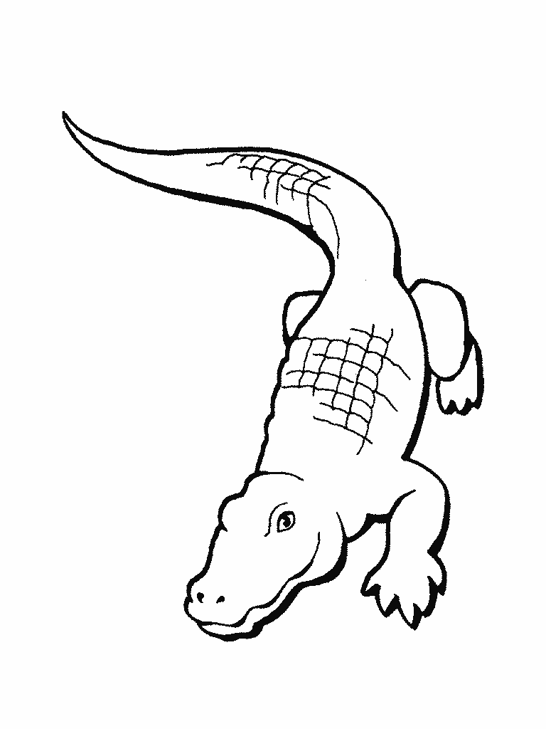 Dessin #12216 - Une belle image de alligator à colorier