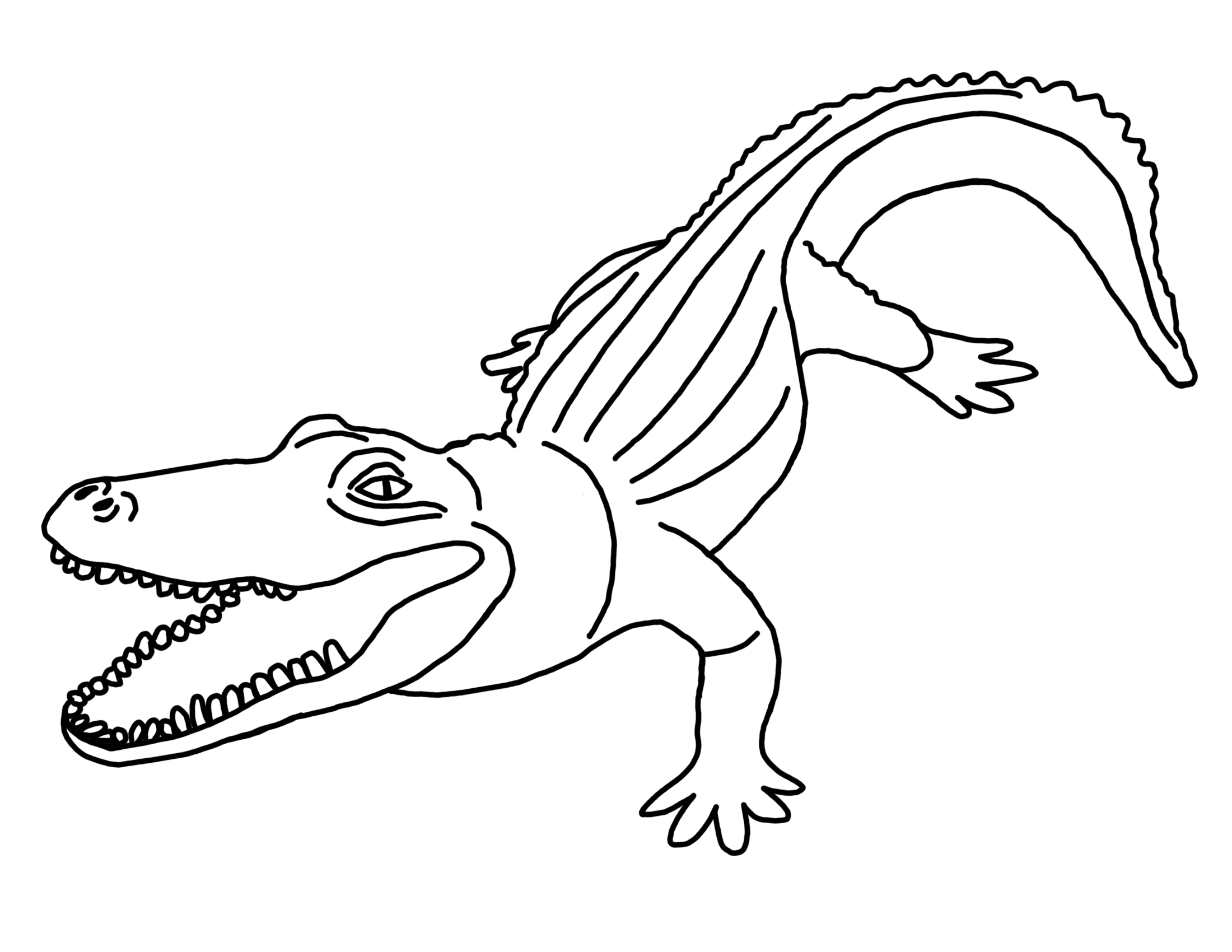 Sélection de coloriage alligator à imprimer sur LaGuerche.com - Page 1