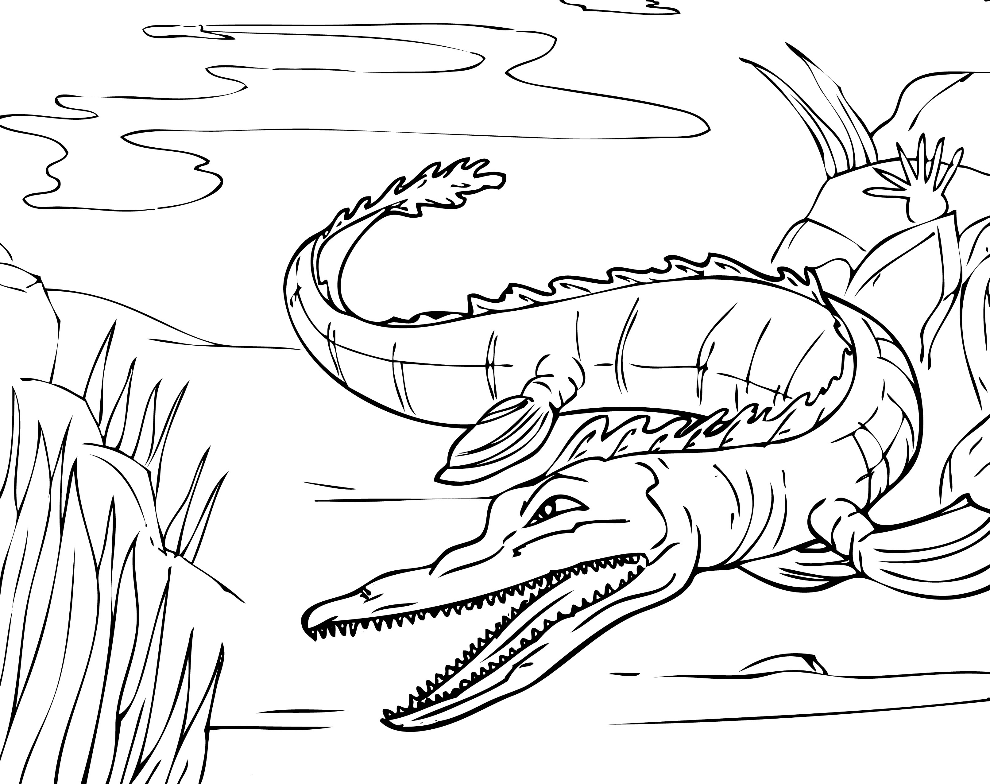 Dessin Coloriage alligator