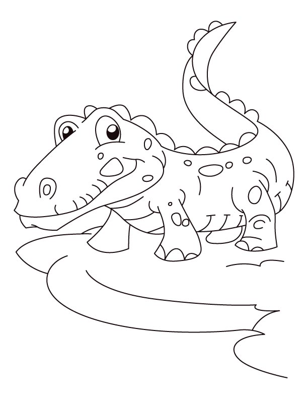 Dessin #12227 - coloriage alligator a imprimer