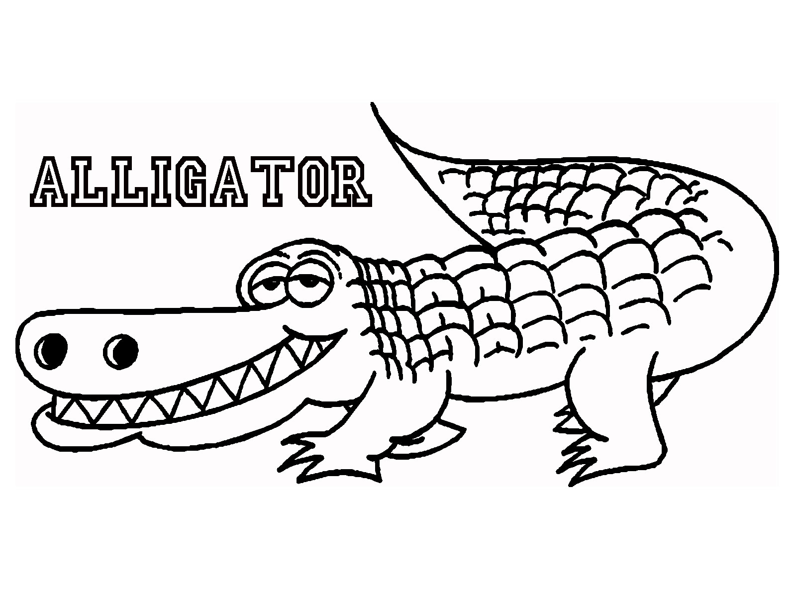 Dessin #12243 - dessin gratuit de alligator a imprimer et colorier