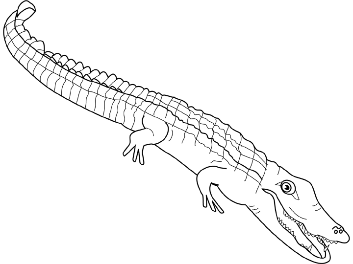 Dessin #12247 - Jeux de coloriage alligator