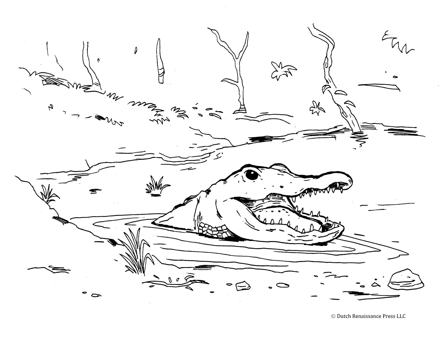 Dessin #12269 - Dessin de alligator gratuit a imprimer et colorier