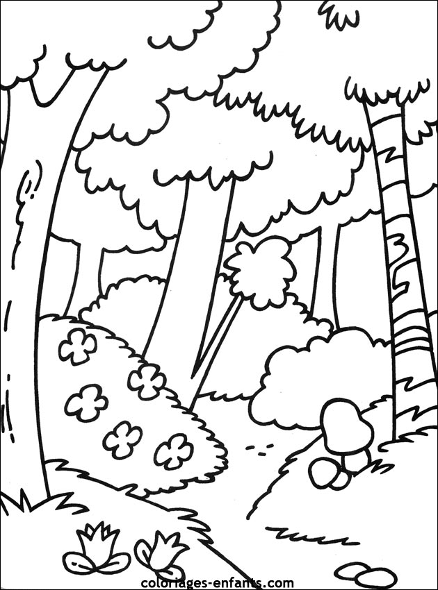 les coloriages d'arbres à imprimer coloriages enfants.com