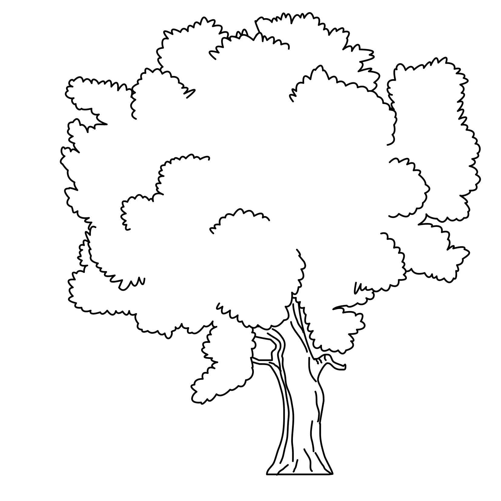 dessins à colorier arbres et leaves gratuit downloads