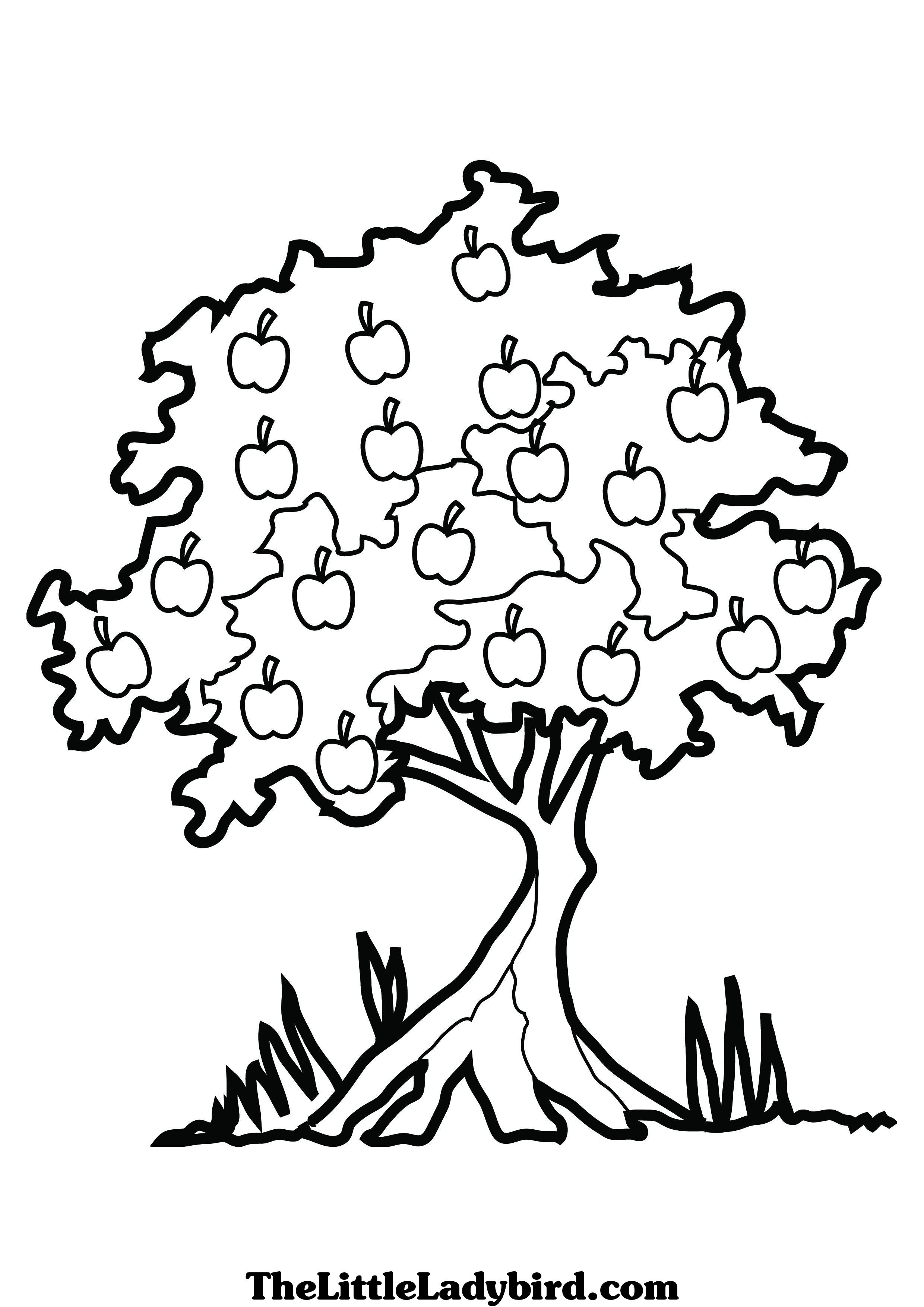 dessin à colorier de an apple arbre dessins à colorier the little ladybird