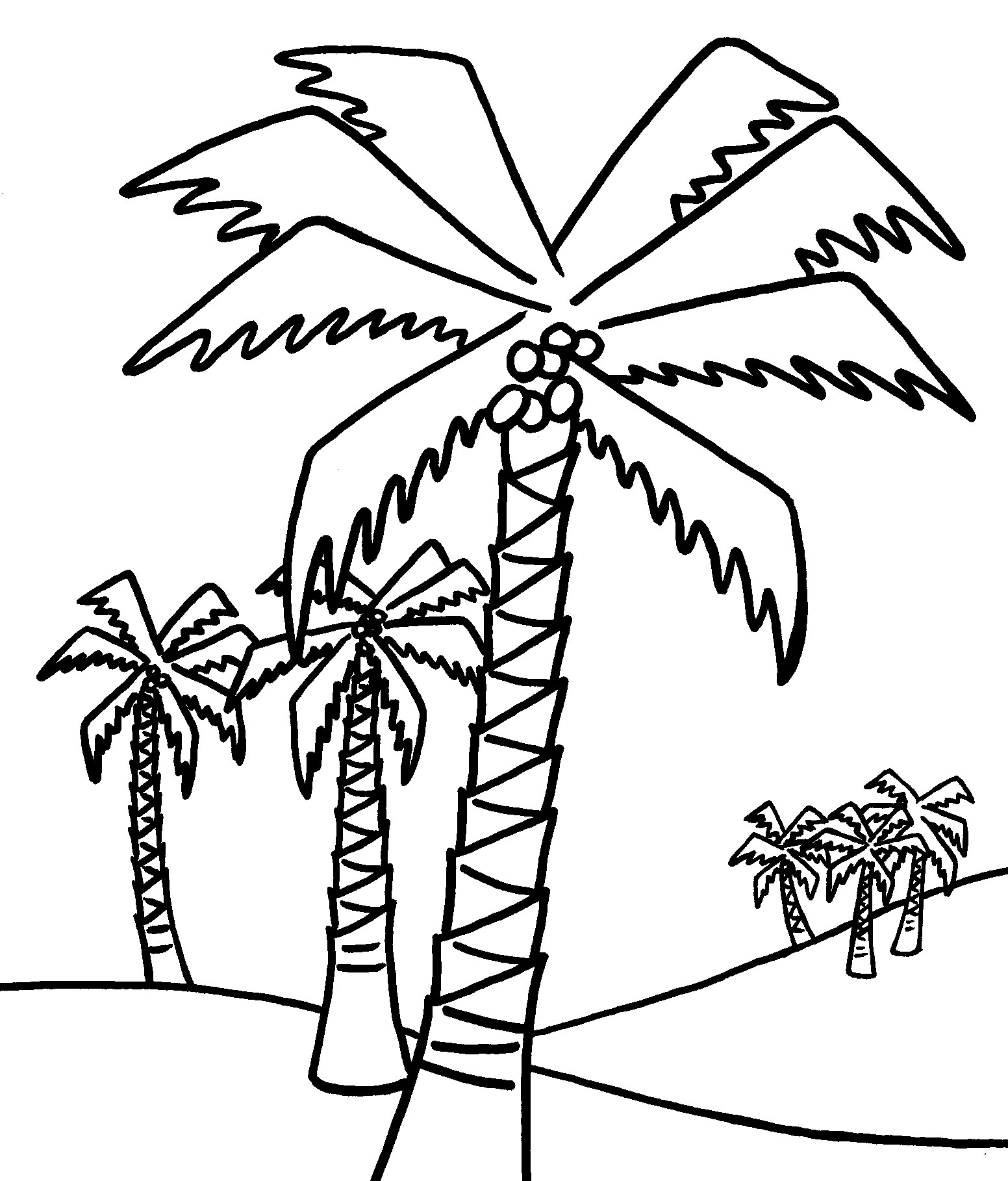 dessin à colorier palm arbre