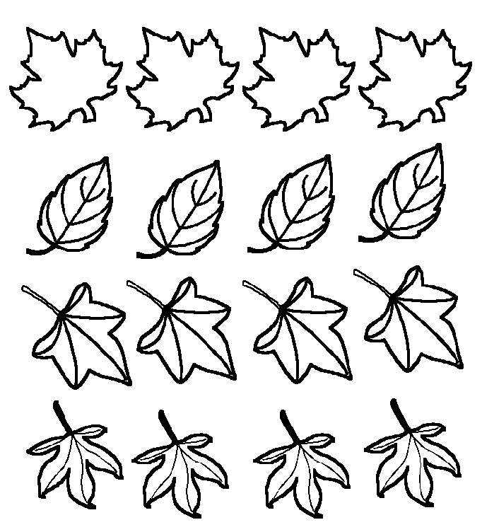 feuilles d'automne vierge