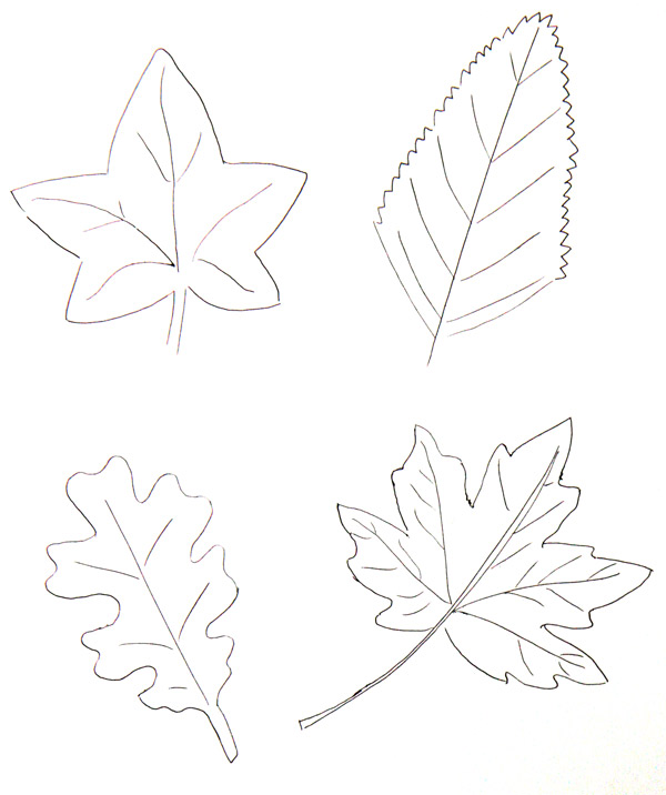 coloriage feuilles automne 