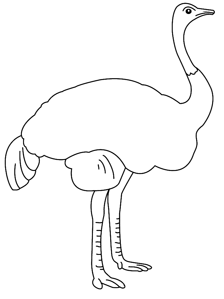 Dessin #12338 - dessin de autruche à imprimer