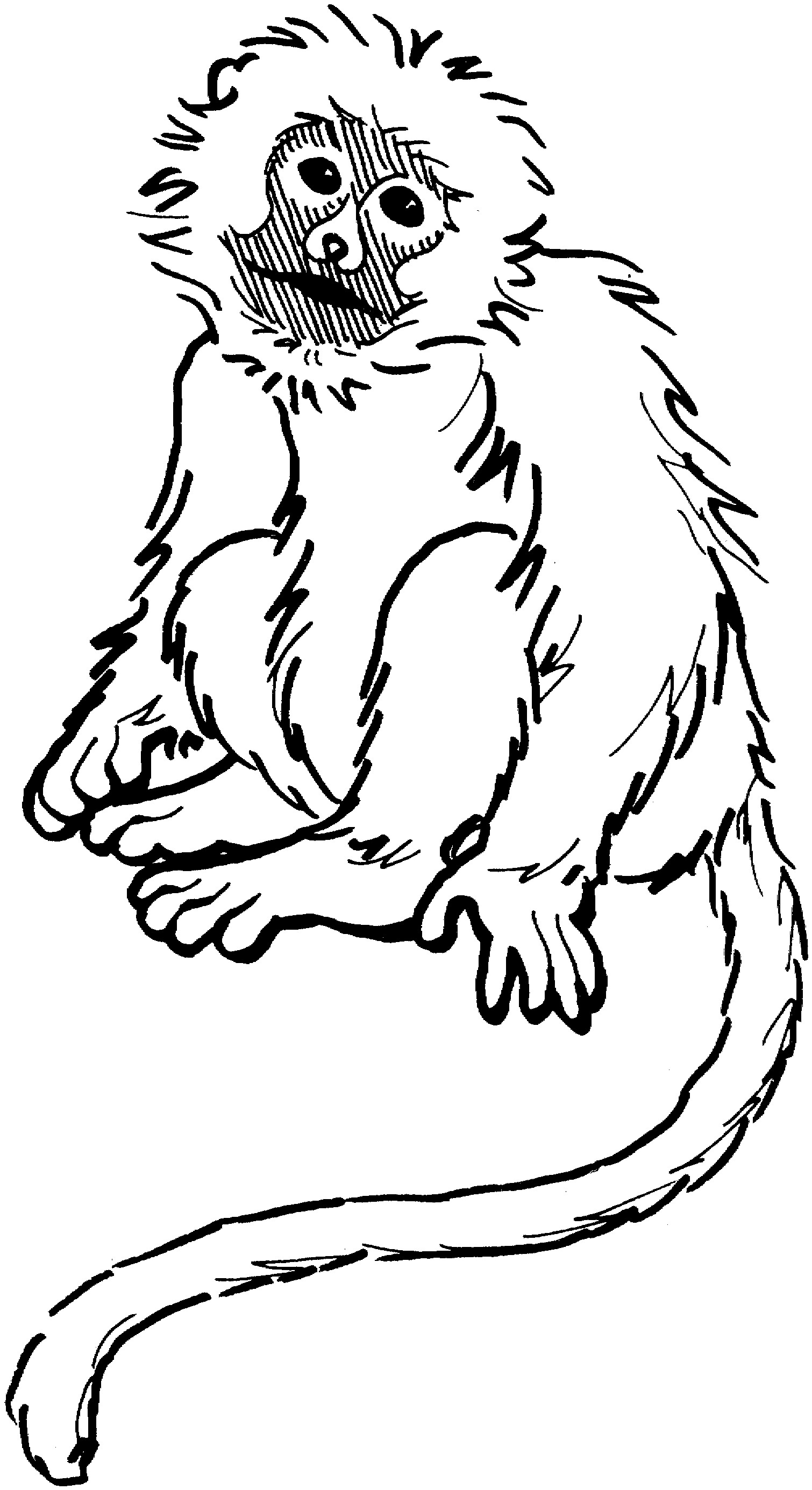 Dessin #12395 - dessin gratuit babouin à imprimer