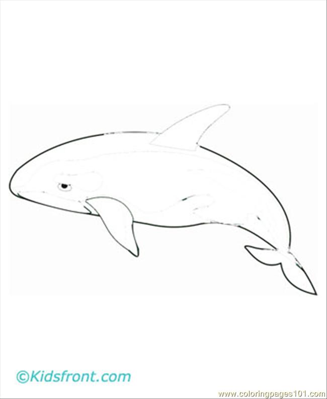 Coloriage baleine