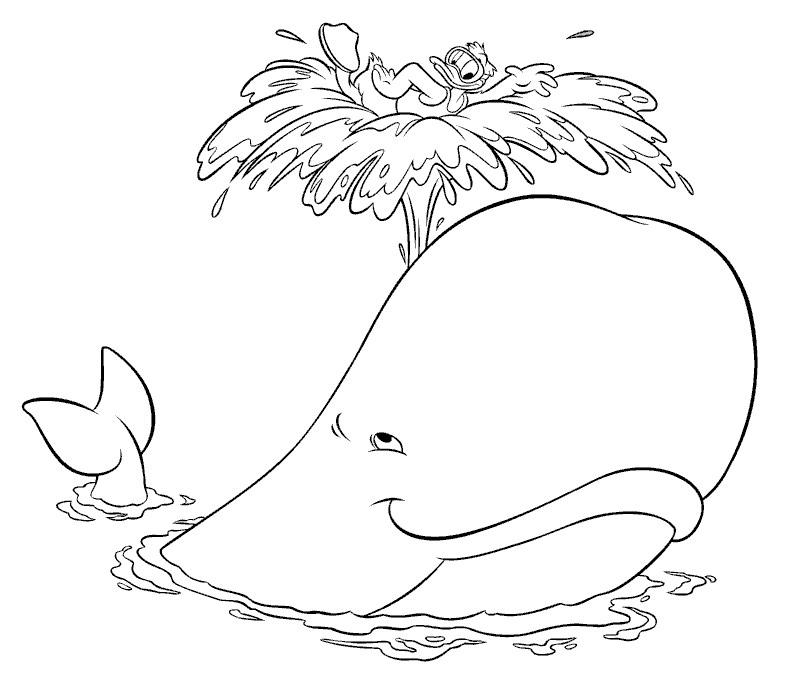 Dessin de baleine