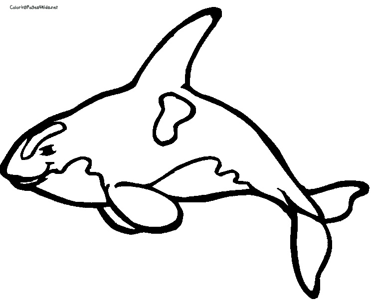 Dessin de baleine gratuit à imprimer et colorier
