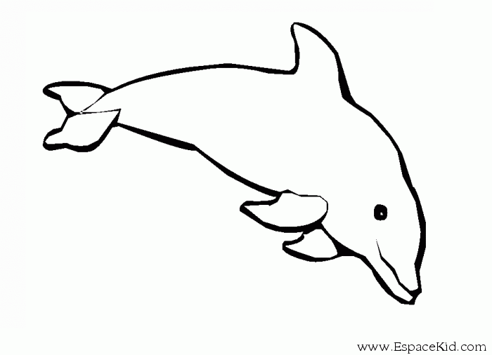 Coloriage de baleine a imprimer