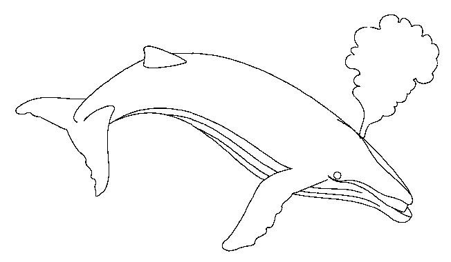 Coloriage de baleine à colorier
