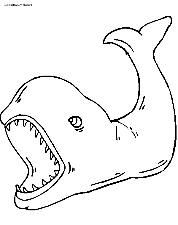 Activité de coloriage baleine à imprimer