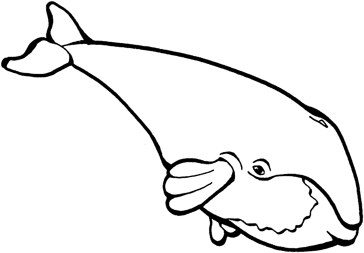 Coloriage gratuit de baleine à imprimer
