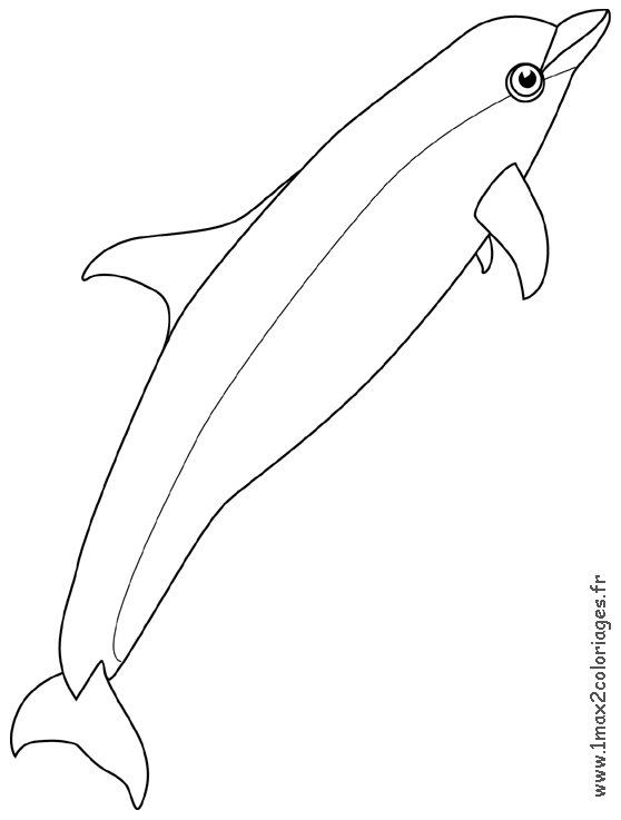 Dessin gratuit de baleine a colorier