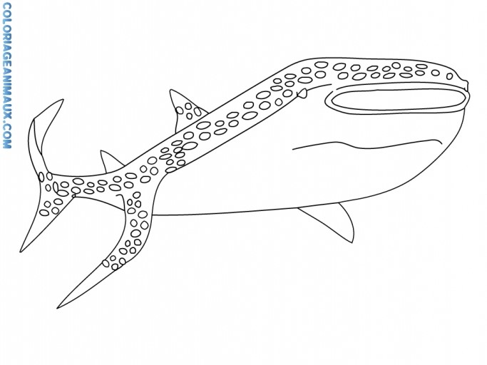 247 dessins de coloriage baleine à imprimer sur LaGuerche.com  Page 17