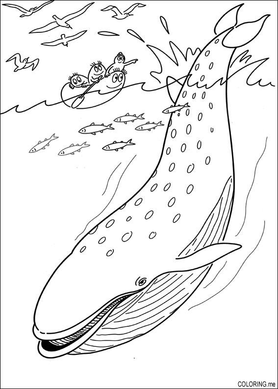 Coloriage de baleine