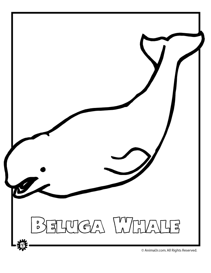 Coloriage de baleine gratuit à imprimer et colorier