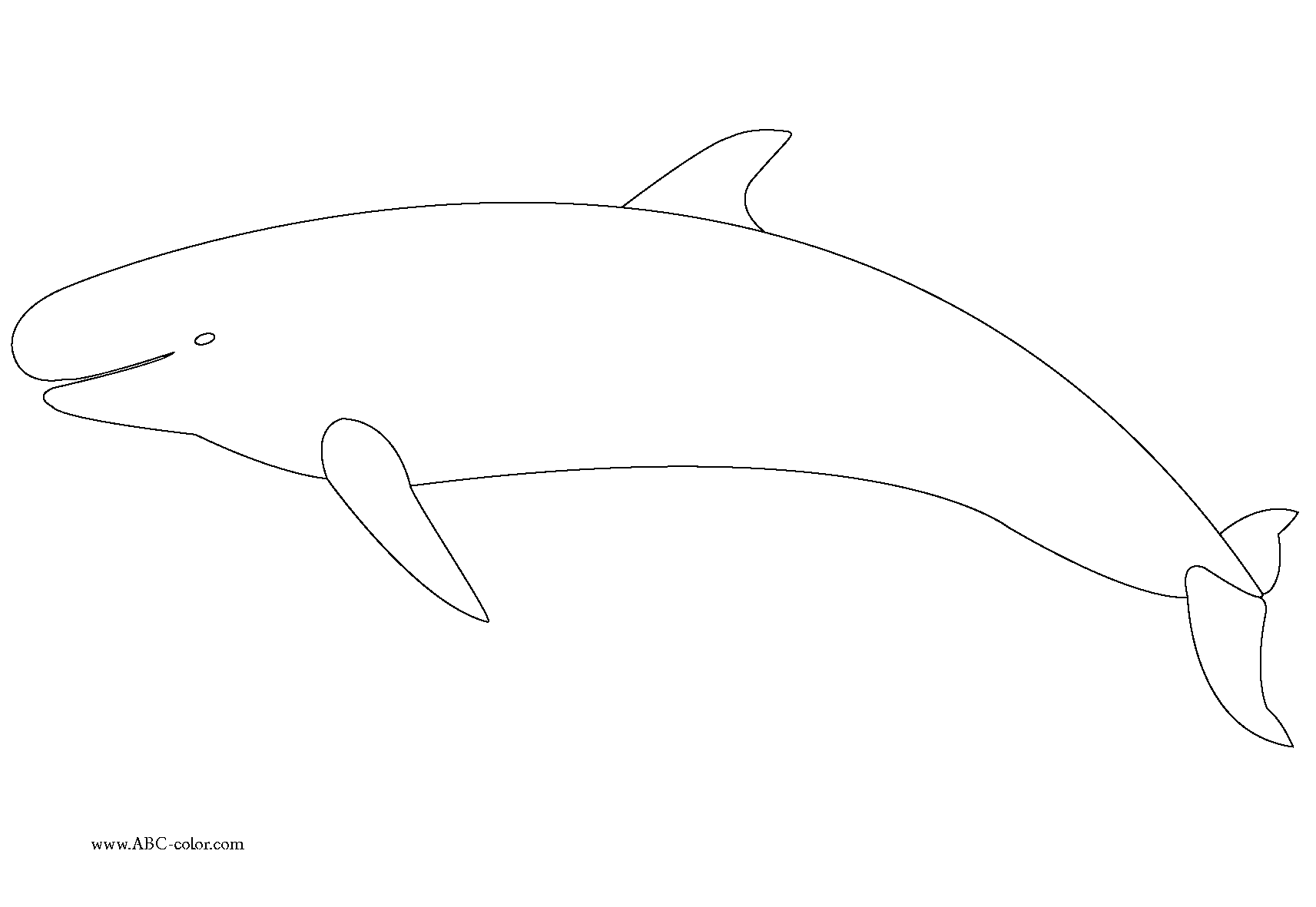Coloriage baleine à imprimer