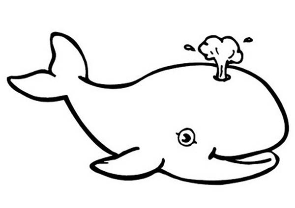 Free Printable Whale Thank You Template