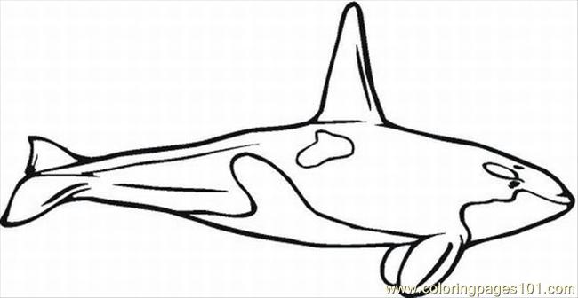 Dessin gratuit de baleine a colorier