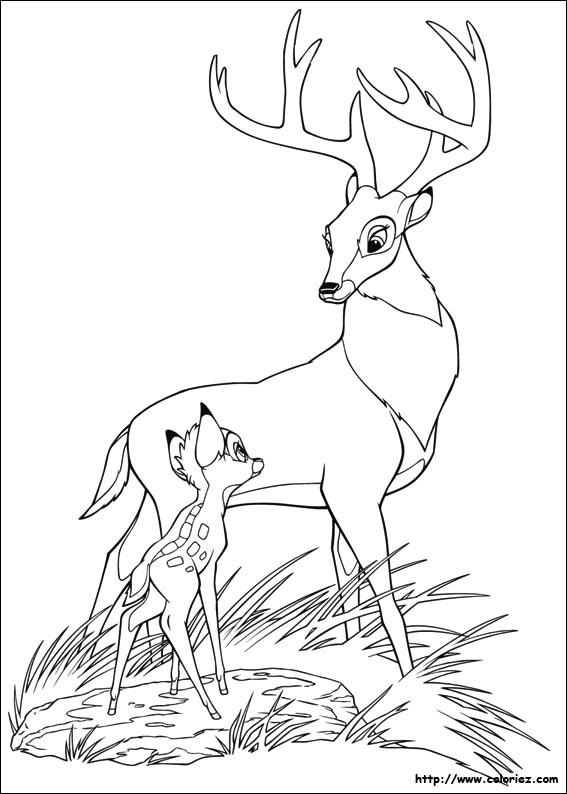 Dessin #11141 - Coloriage gratuit de bambi à imprimer