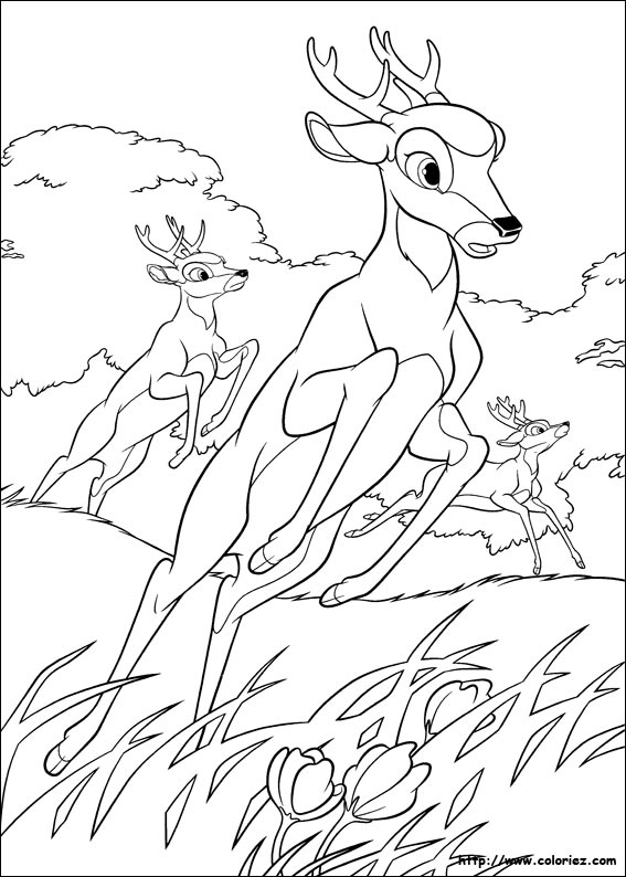 Dessin #11148 - un joli coloriage bambi