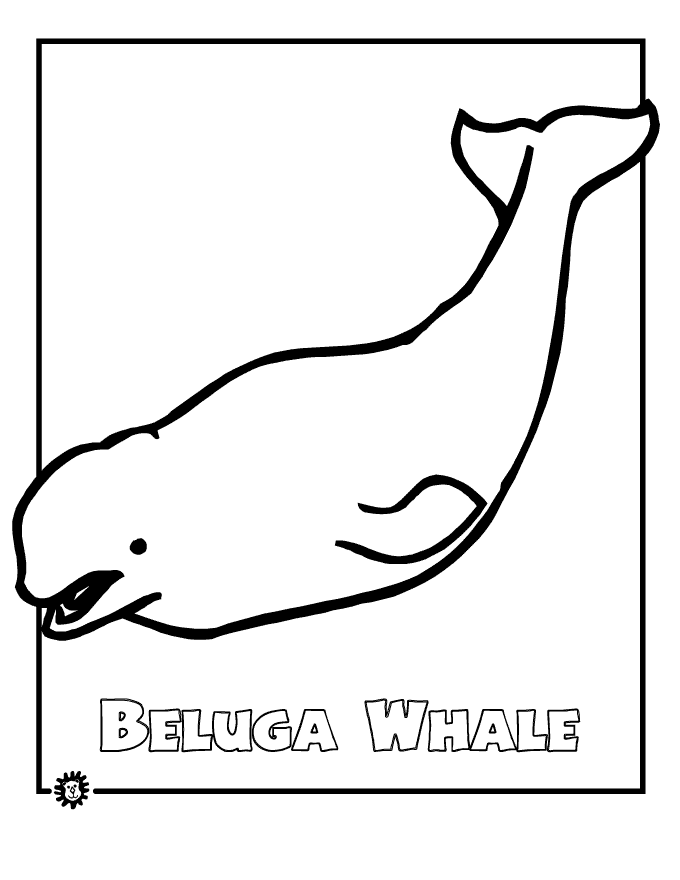 Dessin #12419 - dessin de beluga