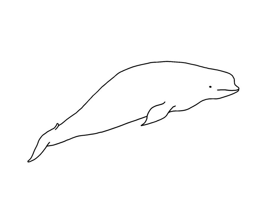 Dessin #12420 - Dessin gratuit de beluga a colorier