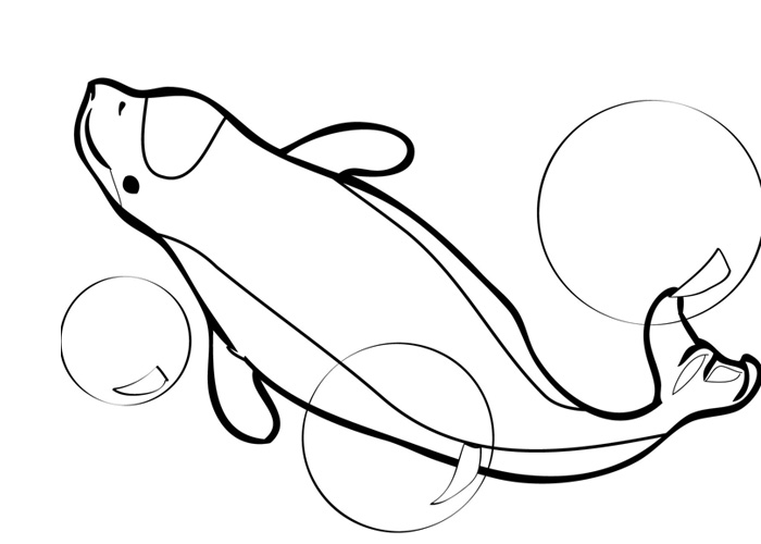Dessin #12426 - Une Jolie image de beluga à colorier et imprimer - Pour enfants