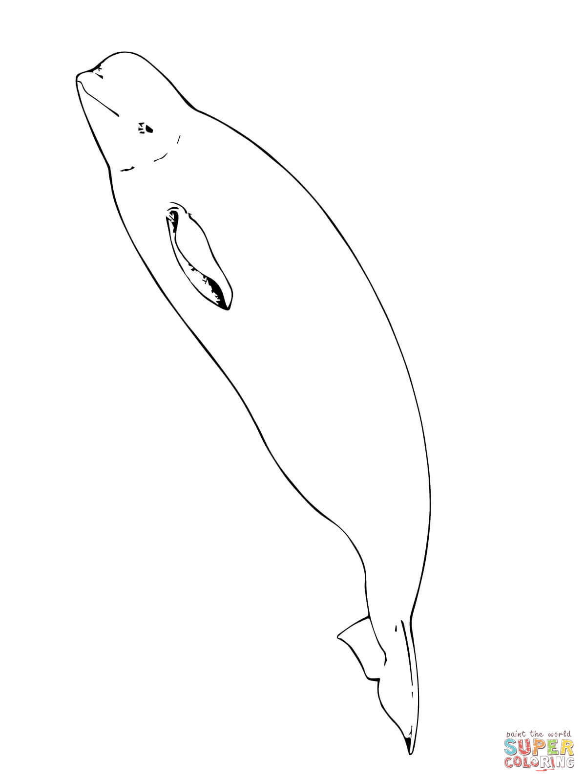 Dessin #12432 - dessin de beluga a colorier