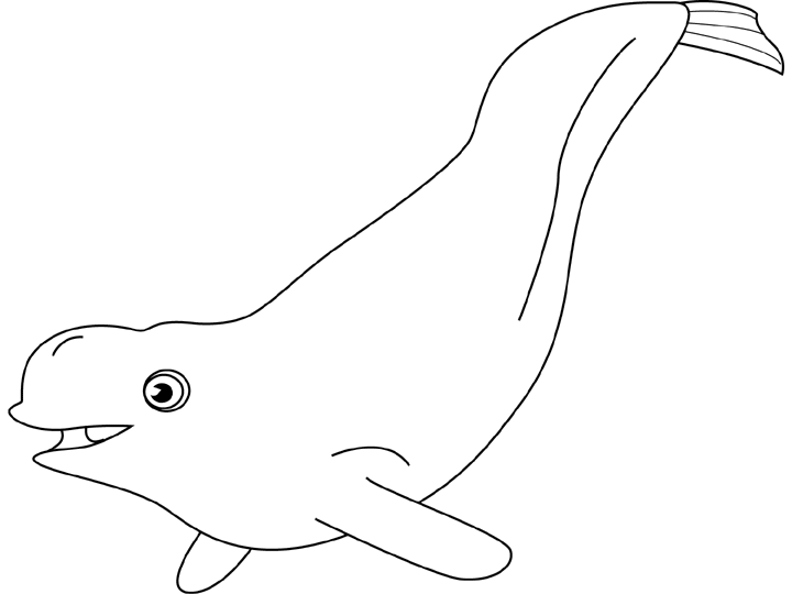 Dessin #12434 - dessin de beluga
